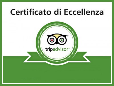 TripAdvisor